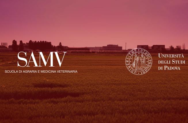Collegamento a Discover our School of Agricultural Sciences and Veterinary Medicine